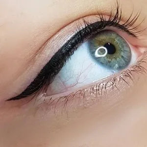 Permanent Eyeliner Online Course