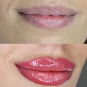 Lip Blush Online Course