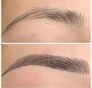 Nano Brows Online Course